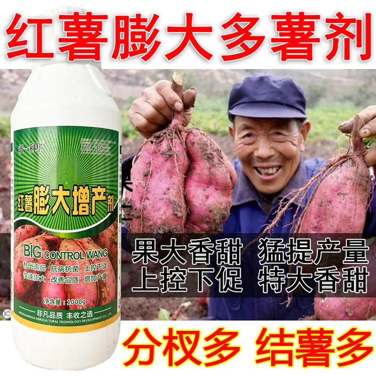 爱丰收红薯膨大素红薯控旺增甜防裂红薯专用防裂皮叶面肥膨膨果