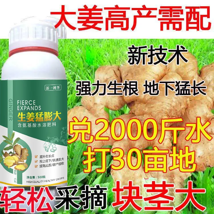 大姜生姜大葱大蒜专用叶面肥膨大素膨大剂大姜膨大增产生根壮苗