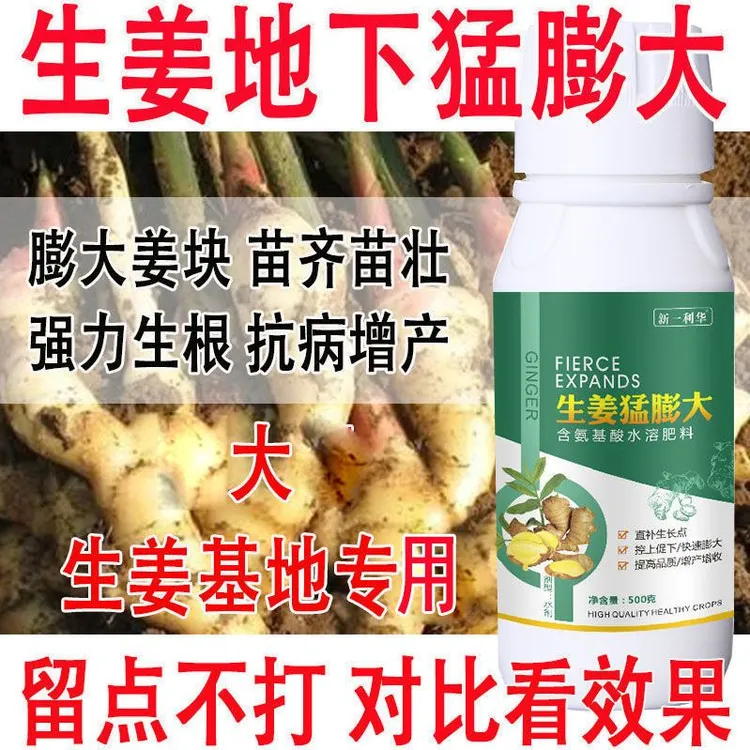 爱丰收生姜专用叶面肥生姜膨果素膨大素肥料增产叶面肥生姜树肥料