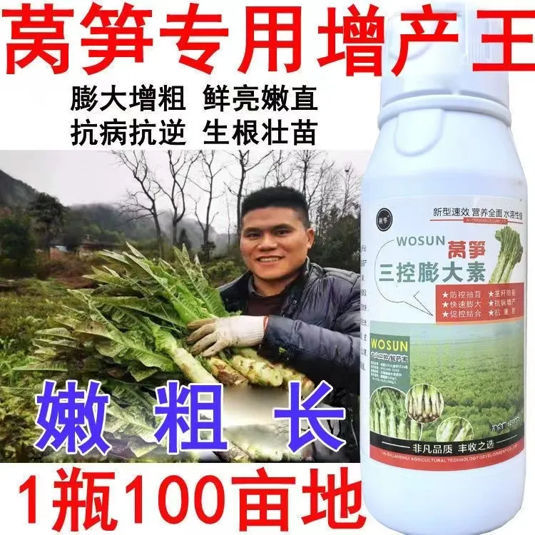 爱丰收莴笋膨大素叶面肥莴苣粗嫩壮莴笋专用叶面肥莴苣增粗剂莴苣