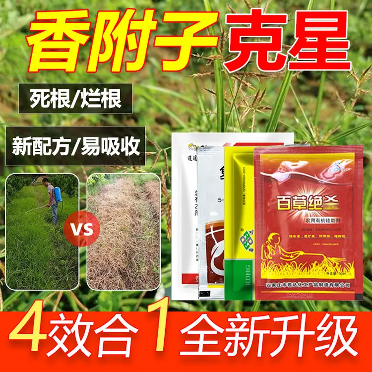 爱丰收除香附子专用梭梭草连根除套餐香附子强力除草剂增效渗农药