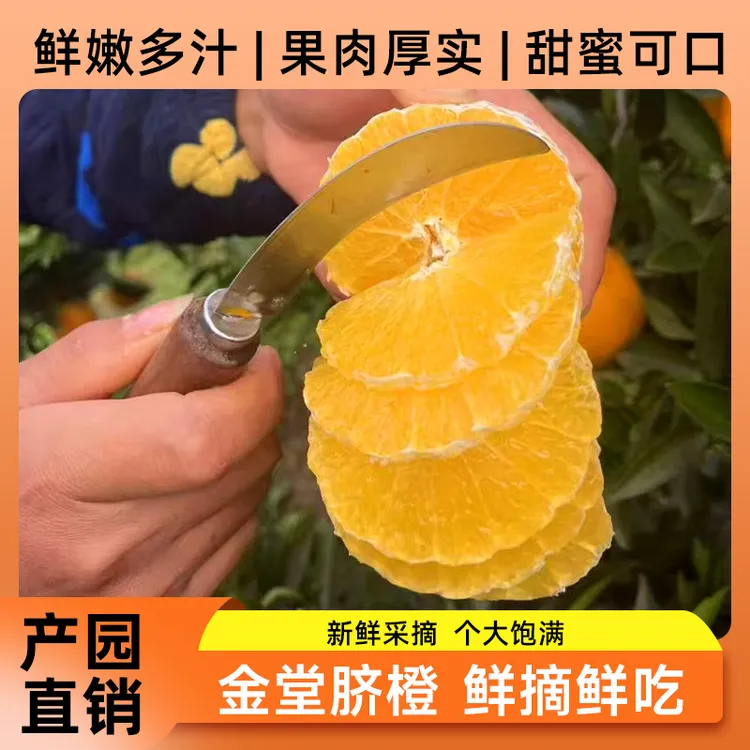 爆甜】四川金堂当季高山脐橙新鲜孕妇水果甜橙子薄皮多汁包邮