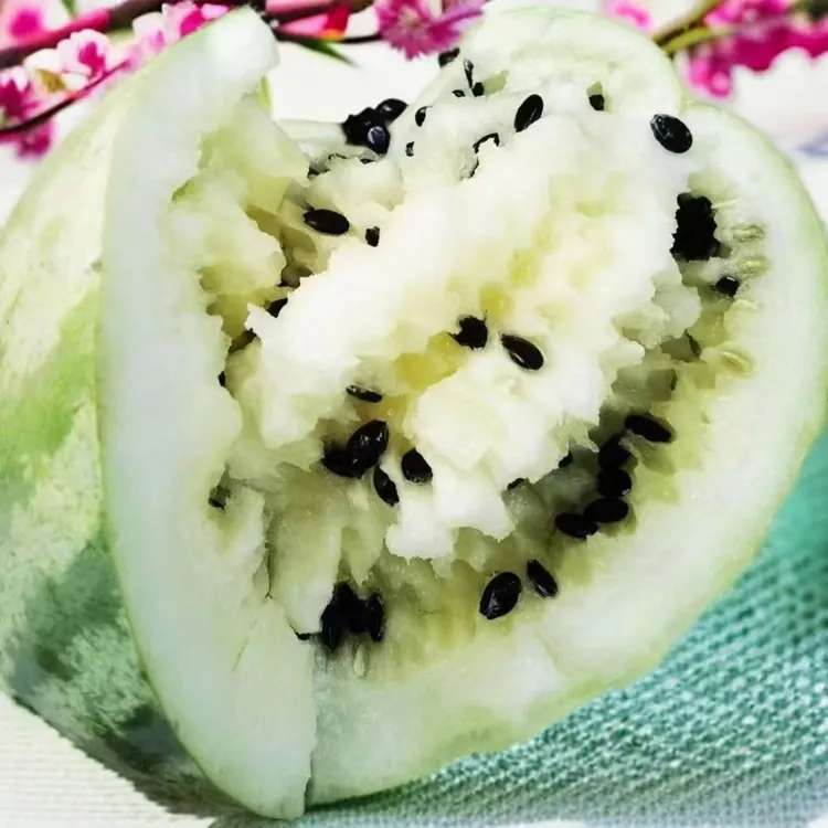 甘肃靖远石头籽瓜5到18斤大变小新鲜瓜果产地直发低糖黄壤石打瓜