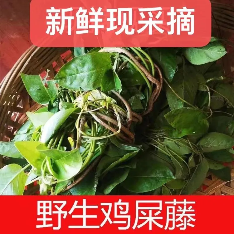 新鲜现采鸡屎藤鸡矢藤臭藤臭屁藤藤天然牛皮冻500克