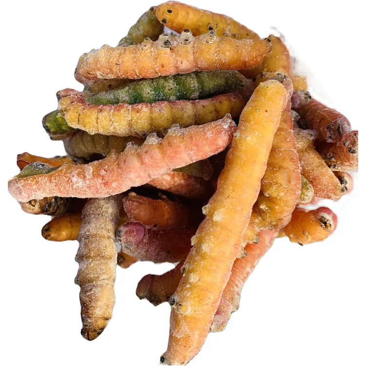 山东特产大头黄冷冻发货顺丰速冻昆虫美食虫子大头黄虫子