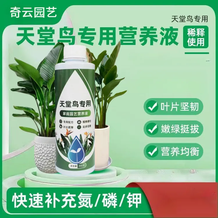 【天堂鸟营养液】家用盆栽花卉植物通用型黄叶掉叶干枯卷边适用肥HE