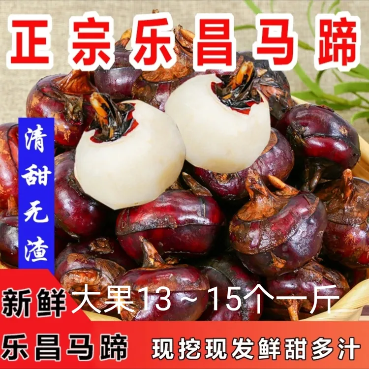 正宗广东乐昌北乡新鲜马蹄荸荠大果既食现挖水果蔬菜韶关土特产
