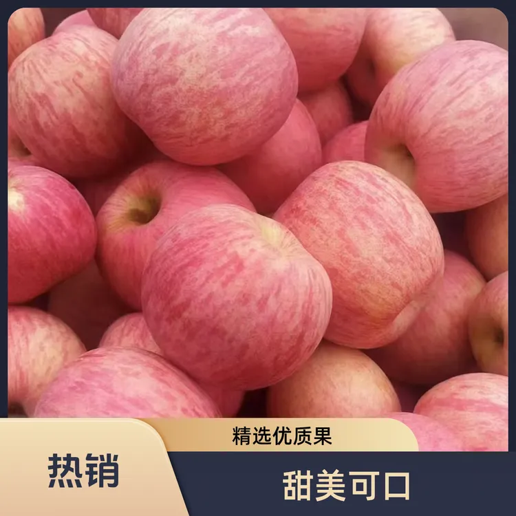 （条纹 京东包邮到家）正宗山东烟台栖霞红富士苹果现摘现发