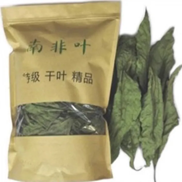 正宗马来西亚南非叶精品南非叶泡水正品南非叶25g-250g包邮非桑叶