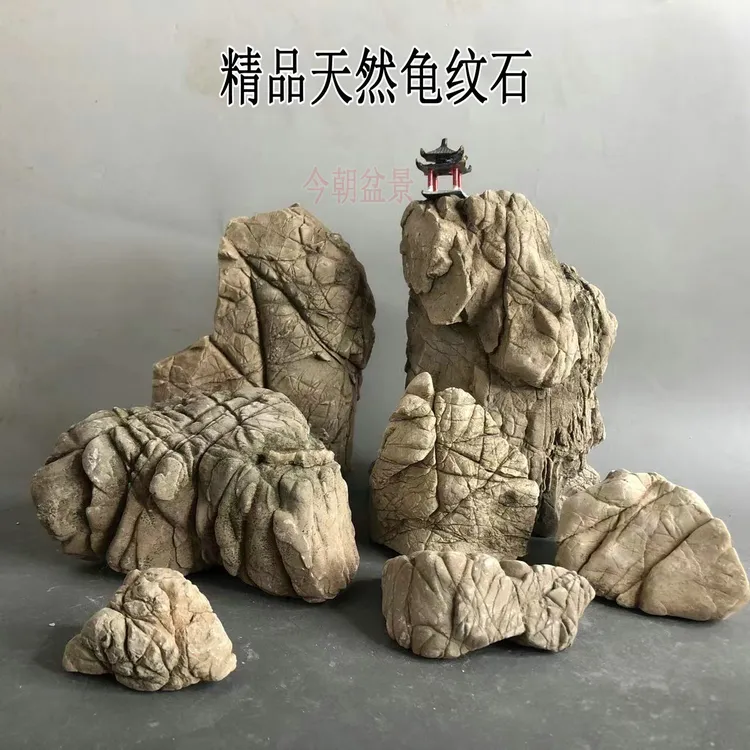 精品天然小块龟纹石原石假山盆景微景观鱼缸造景石头庭院石根抱石