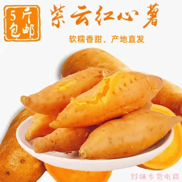 【老品种】贵州紫云红薯黄心板栗薯宝宝黄金贵州网红小香薯新鲜3斤