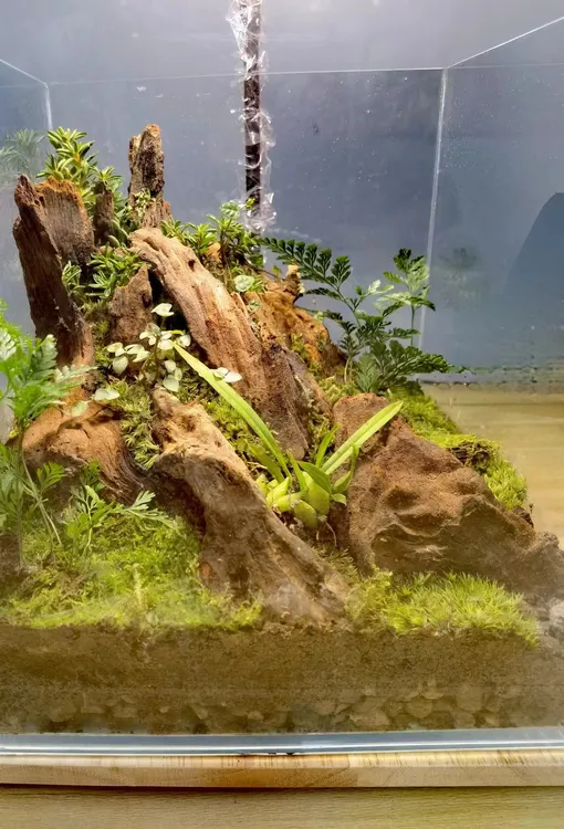 桌面微景观玻璃20方缸