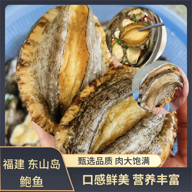 【顺丰冷链】大号鲍鱼肉4-6厘米 纯肉速冻 红烧炖肉 生鲜 海鲜水产
