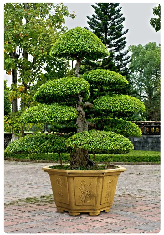 八角花盆清仓厂家直销，种树养荷花有孔无孔，大号加厚塑料耐晒花盆