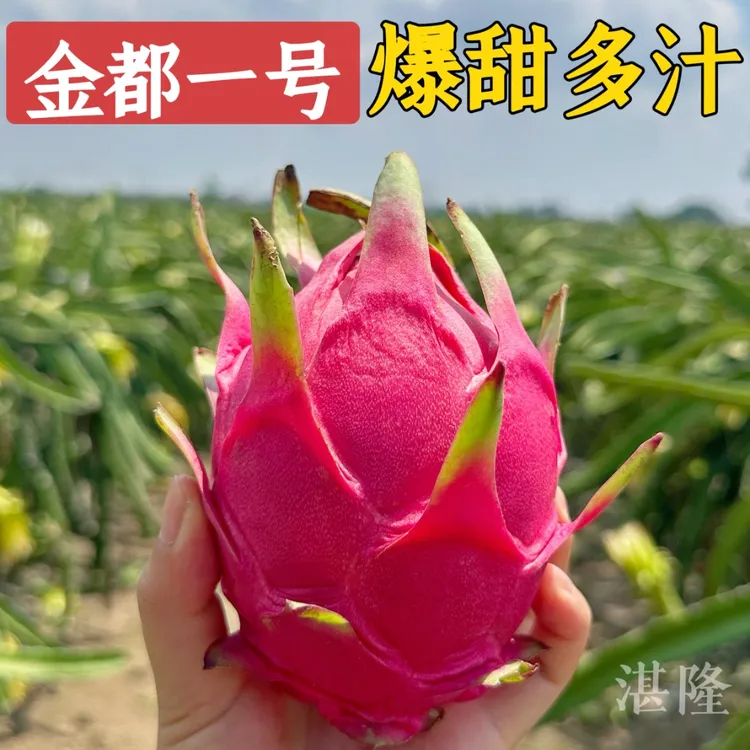 金都一号红心火龙果果新鲜整箱批发4.5斤鲜甜采摘商品图