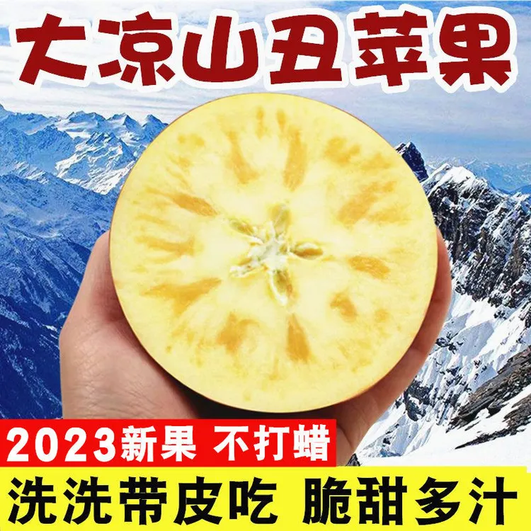 大凉山盐源冰糖心丑苹果现摘红富士2斤5斤8斤装 当季整箱水果新鲜