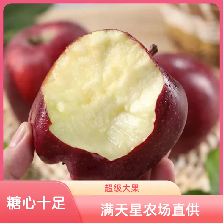 正宗甘肃天水高山花牛“天汪一号”