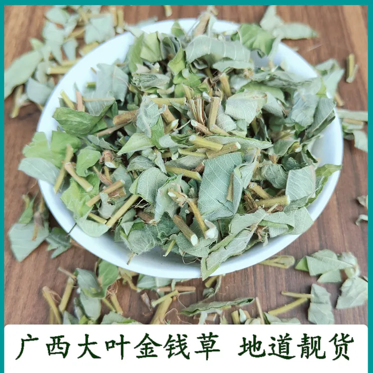 广西大叶金钱草 精选新鲜干货泡水煲汤500克 切段 正宗金钱草