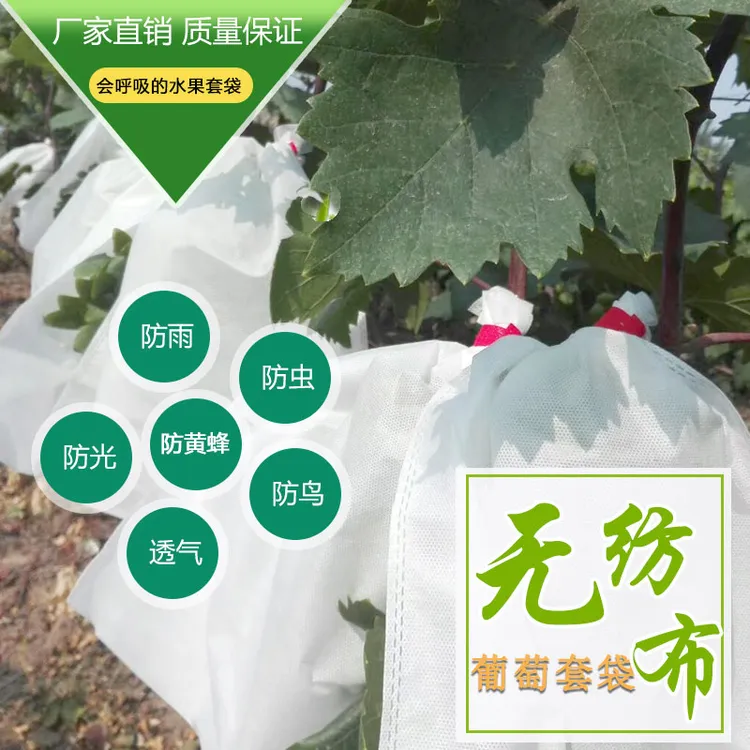 无纺布葡萄套袋 防虫防鸟透气套袋 新一代葡萄包装袋 耐撕防水好商品图