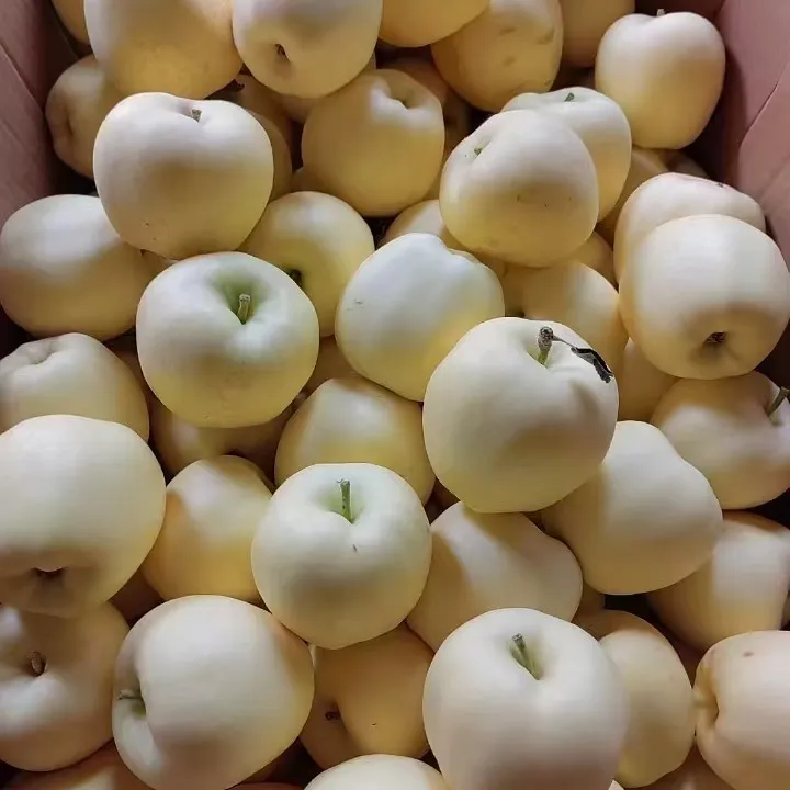 【顺丰包邮】天水黄元帅苹果一果老人小孩营养辅食脆甜粉面冰糖心
