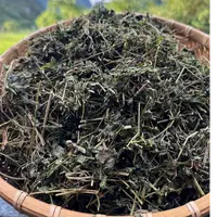 广西贺州野生绞股兰原草原藤带根叶菜食用