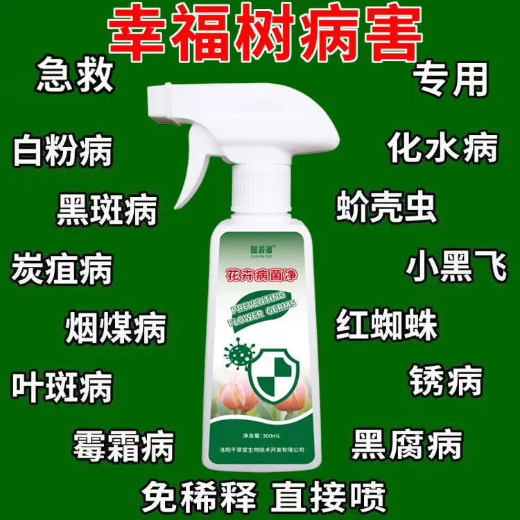 幸福树专用营养液肥料黄叶病黑斑病叶斑病锈斑病炭疽病通用病菌净