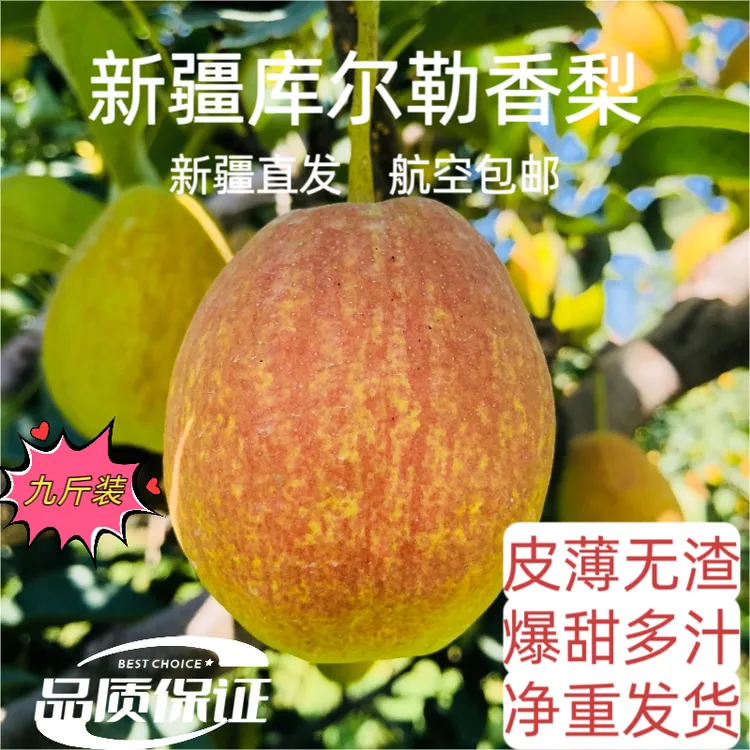 库尔勒香梨【新疆直发】库尔勒香梨纯特级母梨皮薄少渣爽口甘甜多汁