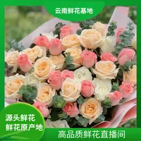 颜花【香槟+戴安娜+康乃馨】云南鲜花基地直发