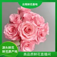 颜花【戴安娜】云南鲜花 任意两单升级顺丰/空运