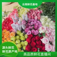 颜花【玫瑰小盒福利】云南鲜花 任意两单升级冷链或空运到家