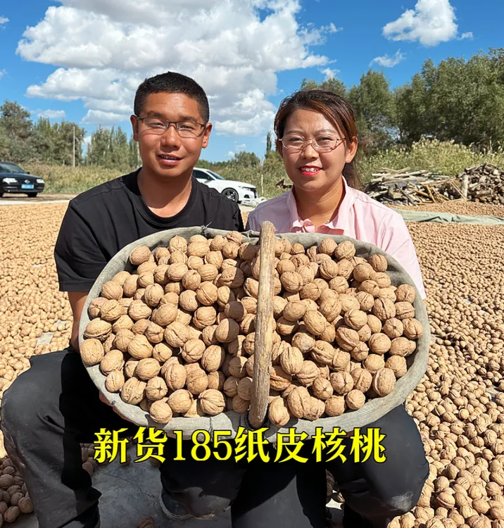 新疆阿克苏2斤/3斤/5斤香脆新疆正宗纸皮核桃