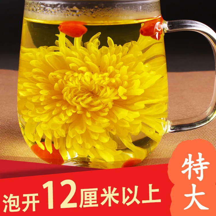 新店优惠金丝皇菊菊花茶一朵一杯独立包装安徽黄山正宗大皇菊袋装