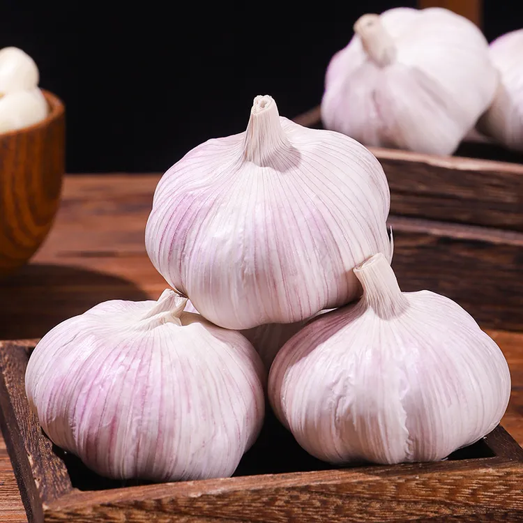 河南农家新干蒜规格0.4斤起新鲜蔬菜天然晾晒干蒜头特大蒜头