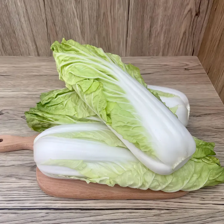 推荐/【云南维康高原蔬菜黄白菜】香甜爽口、菜香浓郁  4斤 顺丰包邮