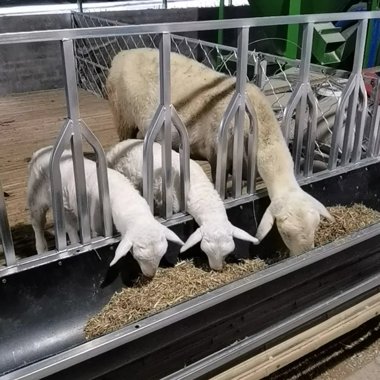 自带定位栏翻转式胶皮羊槽-带颈夹羊食槽可避免羊群抢食占地打架