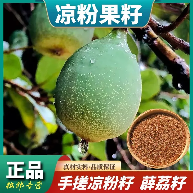 野生凉粉果籽自然晒干果籽薛荔果籽凉粉籽爱玉籽辣木籽手搓冰粉籽