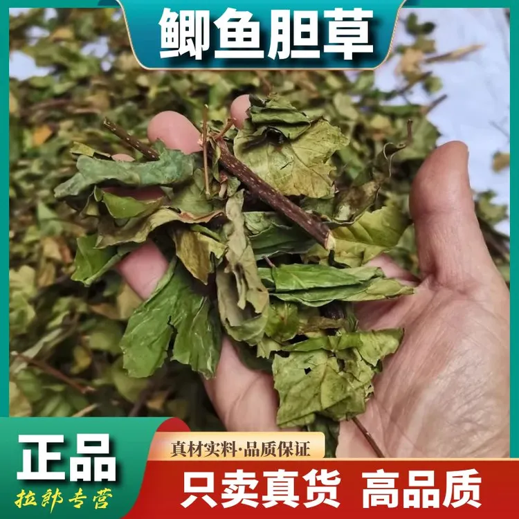正宗【鲫鱼胆草】农家晒干250g空心花冷饭果木丁山桂花益母草滋补