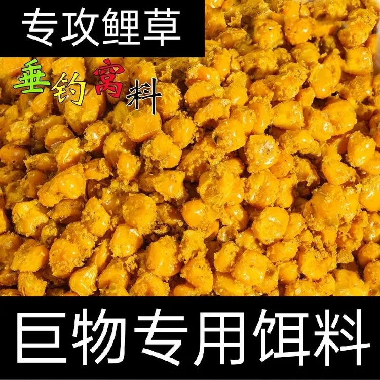 老坛发酵玉米粒窖坛五谷杂粮诱打窝料鲫草鲤鱼饵野钓大物水库重窝