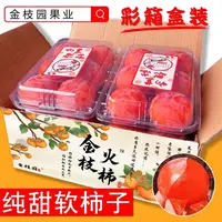 陕西特产火晶柿子软糯香甜/12-24枚/40g-100g礼盒装(一定放软吃）