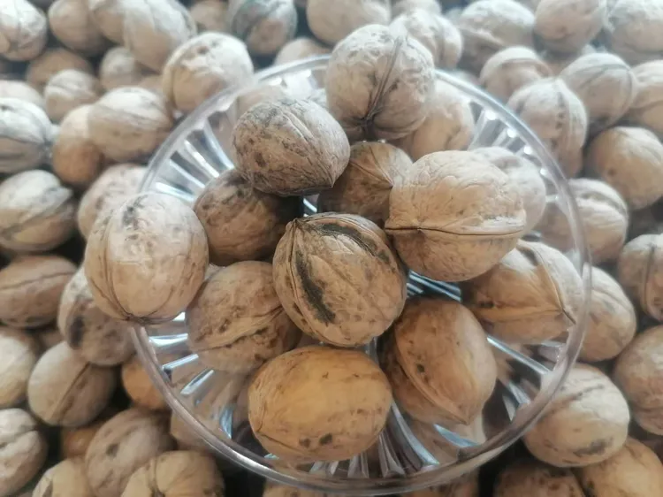 新疆纸皮核桃（今年的新货）