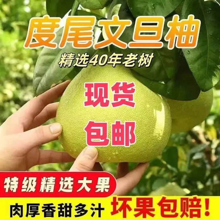 正宗福建仙游度尾文旦柚红心柚子新鲜当季现摘孕妇应季时令水果