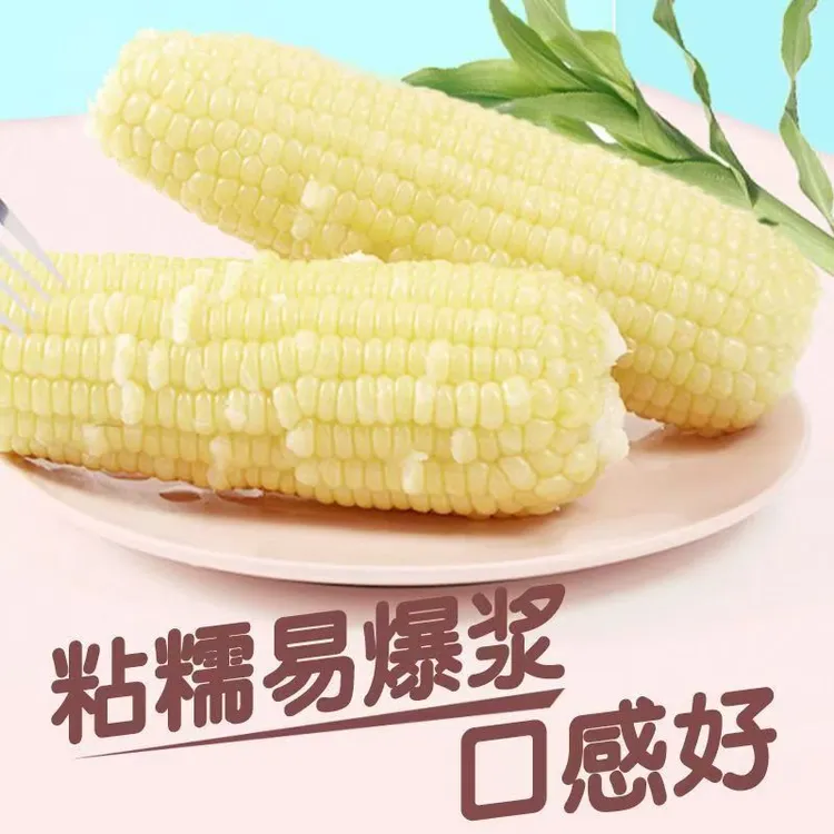 吉林淞江原白糯玉米/*10支 甜糯好吃香甜