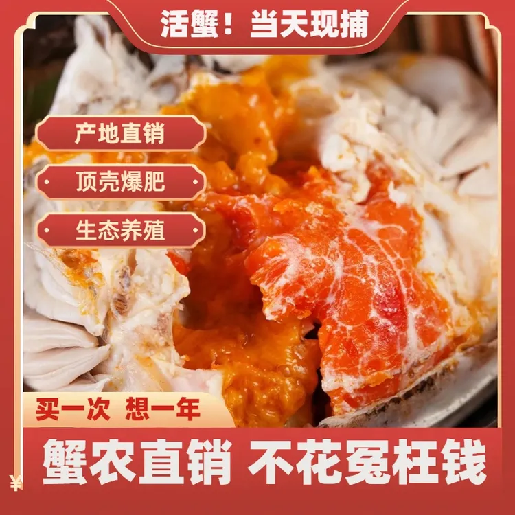 【活蟹】大闸蟹公（3.3两-3两）母蟹（2.0两-2.3两）8/10只螃蟹产地直发