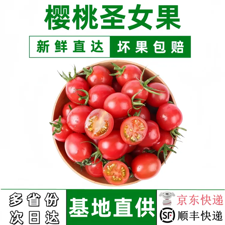 圣女果小番茄山东直发酸甜多汁酸甜爽口新鲜爆汁【顺丰/京东包邮】