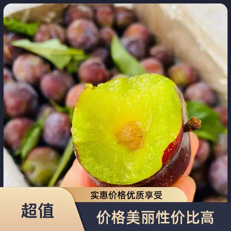 【自产自销纯甜无酸】四川凤凰李特大果5斤装五月李子