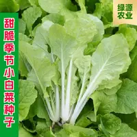 【全店满五包包邮】甜脆季节小白菜种子四季耐热小白菜种子播种种植