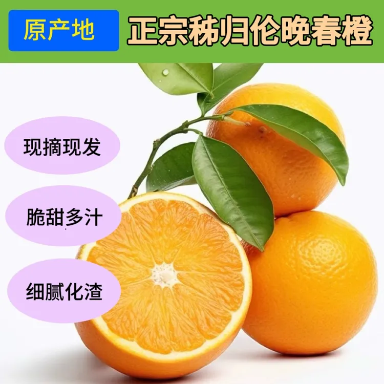 湖北秭归春橙伦晚橙5斤|9斤好吃现摘现发新鲜皮薄多汁标准水分