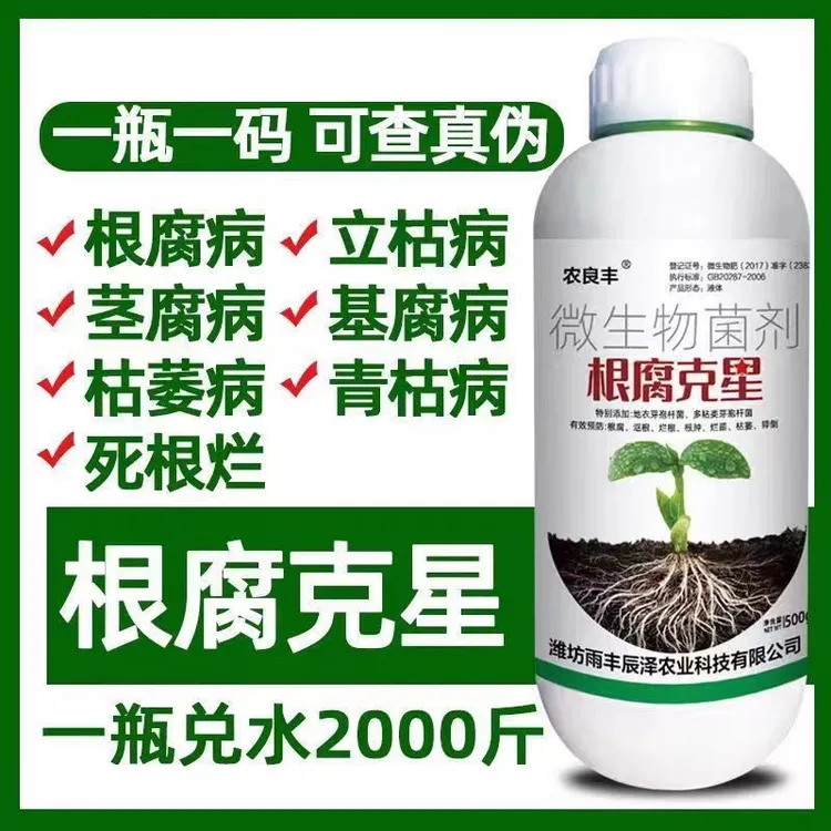 根腐克星茎基腐病快克根腐病专用药微生物菌剂烂根青枯生根叶面肥