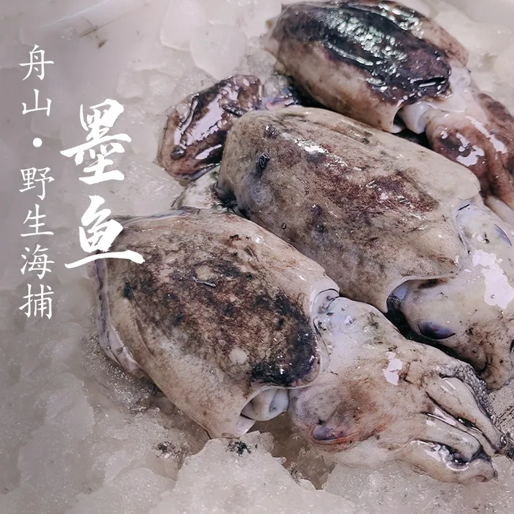 【钳子专属】舟山野生海捕墨鱼东海大墨鱼新鲜速冻乌贼目鱼3斤一份