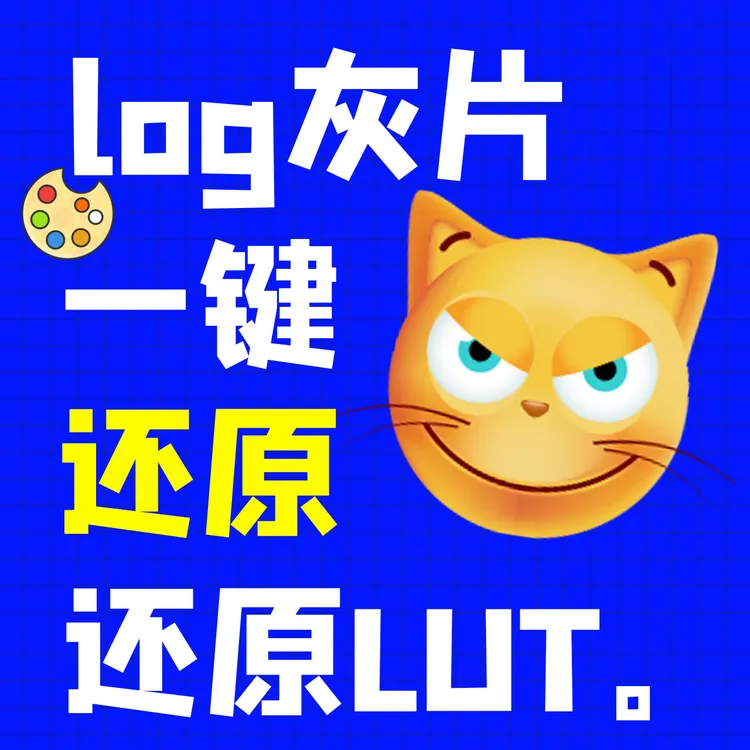 相机拍摄Log灰片还原Lut各个机型SlogClogFlog手动还原教学